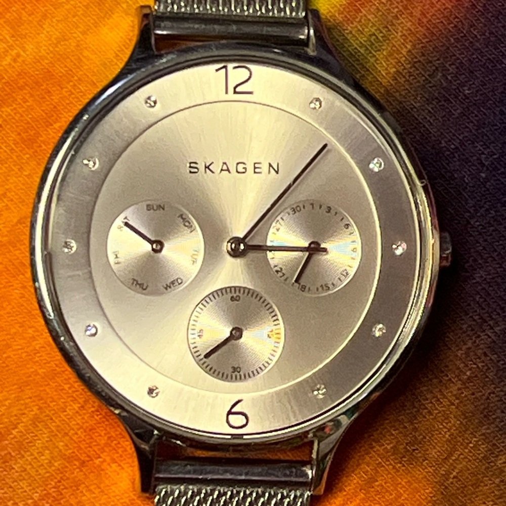 Skagen Silver Men's Watch